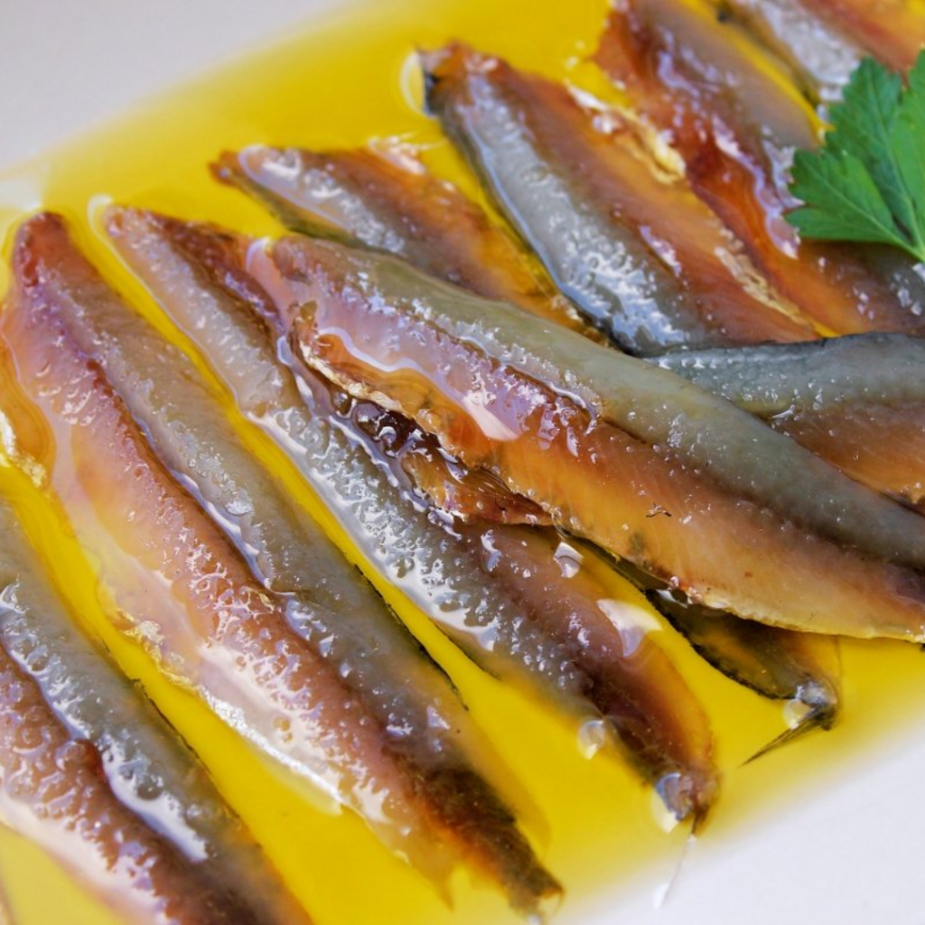 anchoas del Cantábrico 