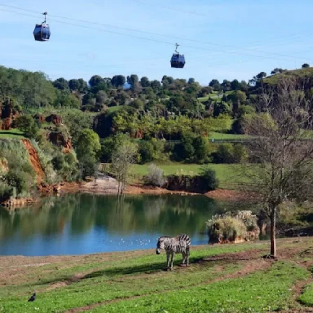 parque natural de Cabarceno en Cantabria