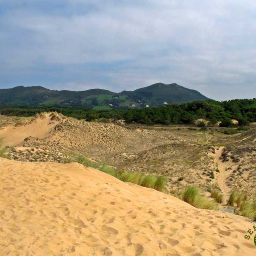 dunas de liencres en Cantabria