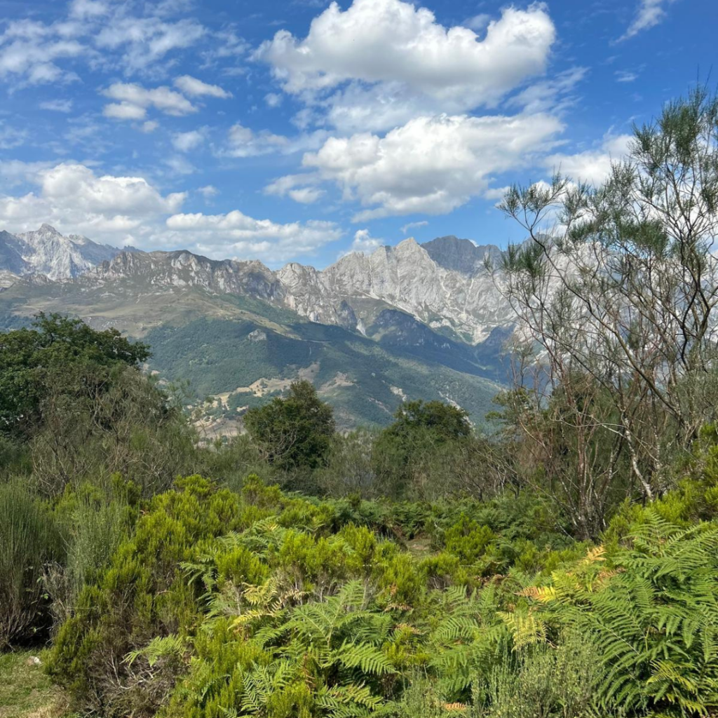 excursion perfecta en Cantabria