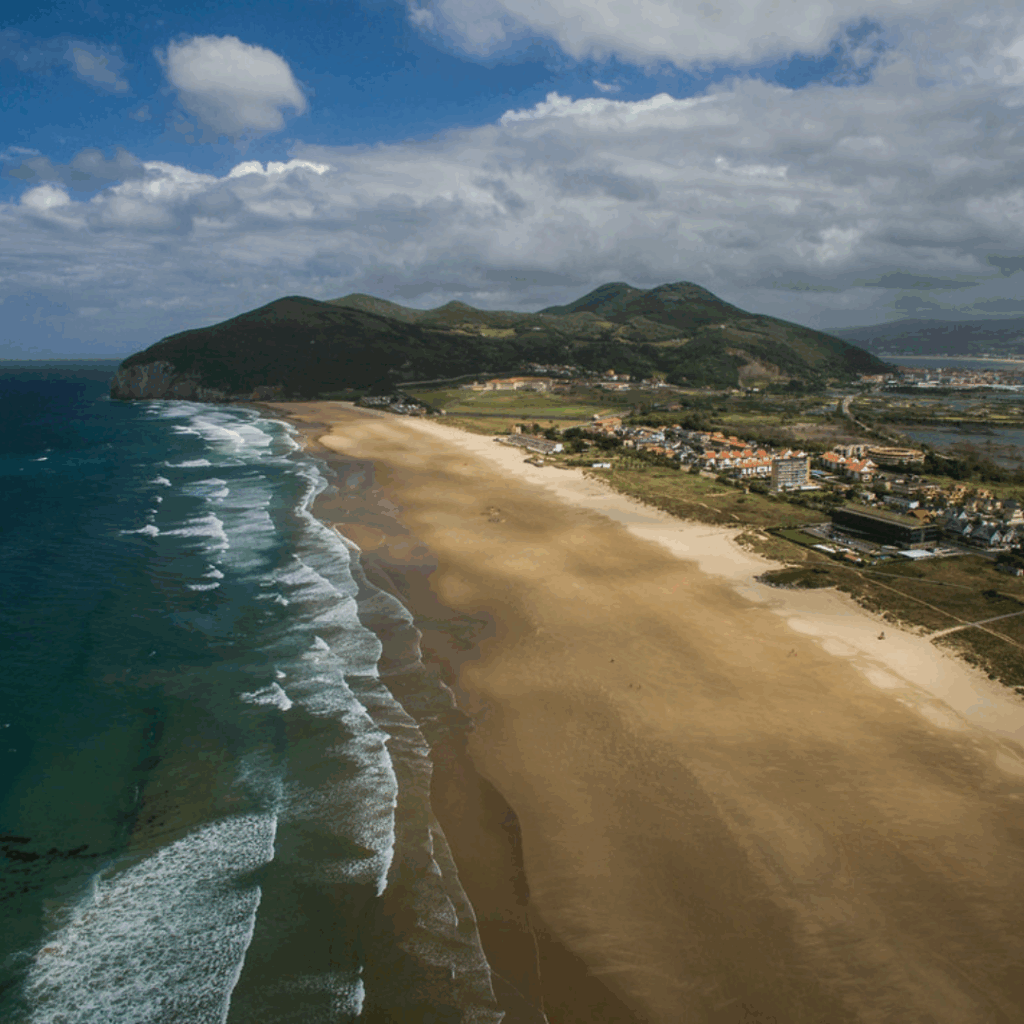 fauna de Cantabria